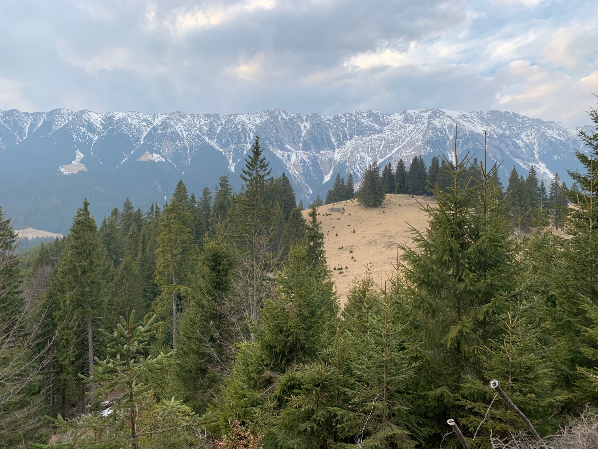 Ține minte Valérie! Când mintea o ia razna… Un pas după&nbsp;altul!!!